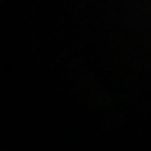 Meet your Posher, Leila